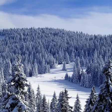 Apartment As Lux Kopaonik
